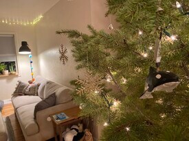 208 N Cottonwood Ave in Canon City, CO - Building Photo