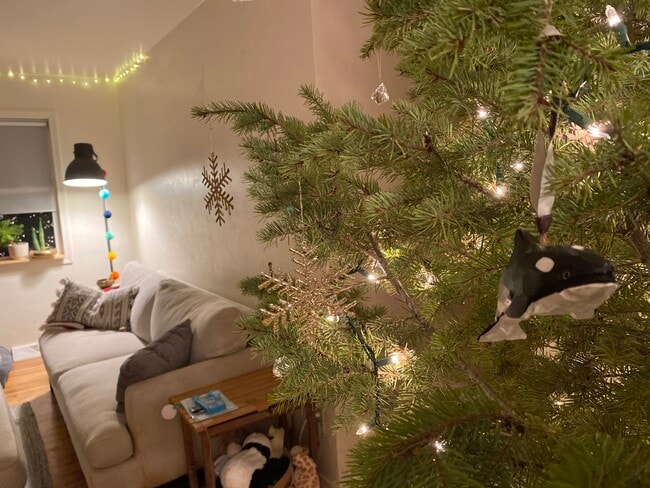 property at 208 N Cottonwood Ave