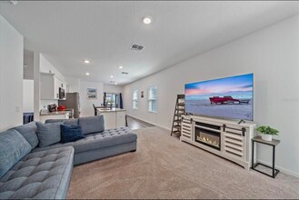 10451 Ladybug Cv in Parrish, FL - Building Photo - Building Photo