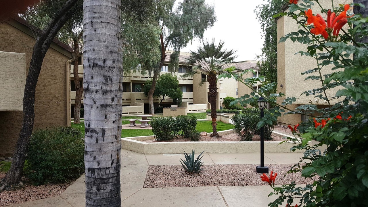 1331 W Baseline Rd-Unit -374 in Mesa, AZ - Building Photo