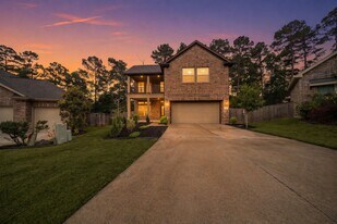 206 Elianne Lace Ct in Willis, TX - Building Photo