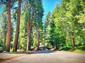 5729 Pony Express Trail in Pollock Pines, CA - Foto de edificio - Building Photo