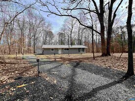 2171 Hidden Knoll Dr in Charlottesville, VA - Building Photo