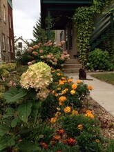1020 19th Ave NE in Minneapolis, MN - Building Photo - Building Photo