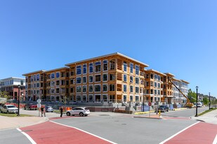 Trafalgar Square in Richmond, BC - Building Photo