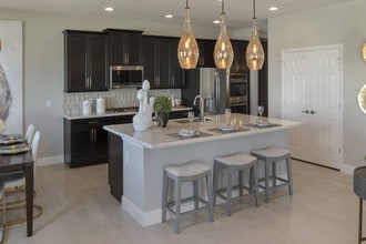 5042 Northern Dove Ave in Mount Dora, FL - Building Photo - Building Photo