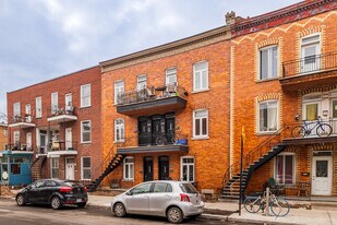 2263-2273 Marie-Anne St E in Montréal, QC - Building Photo