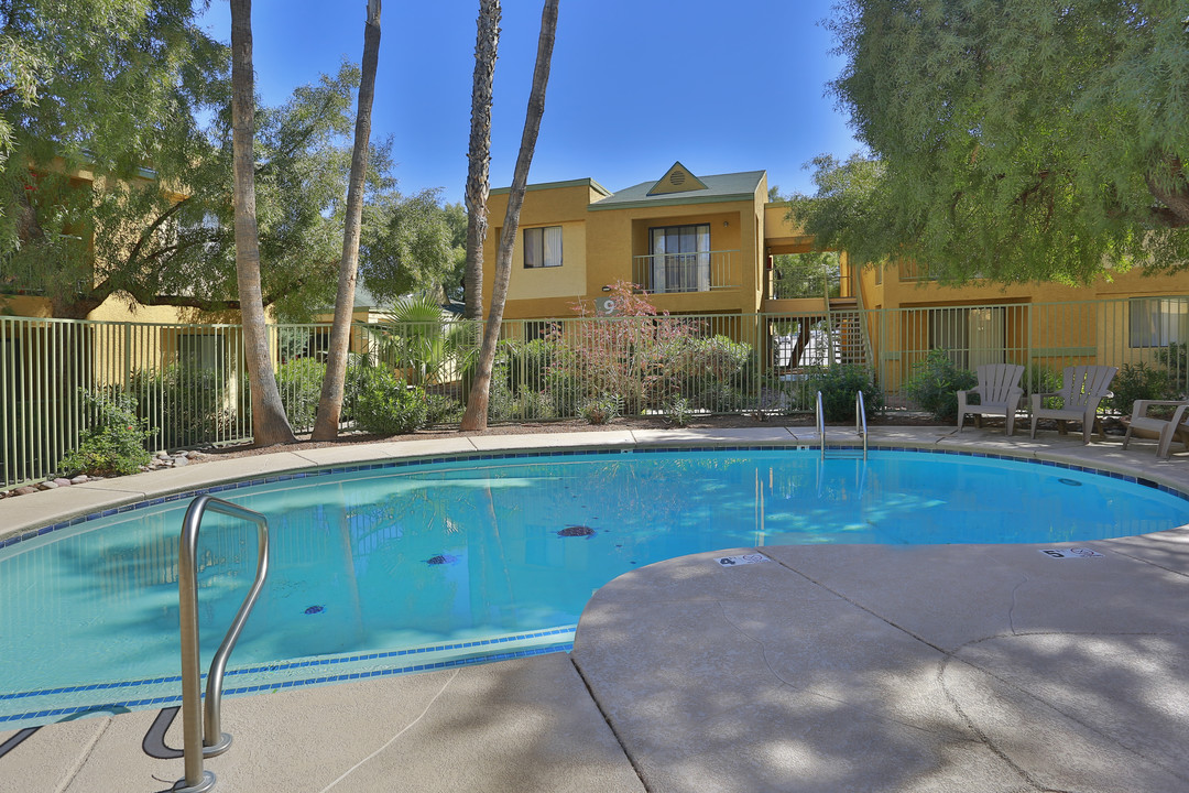 Silverado Apartments in Tucson, AZ - Foto de edificio