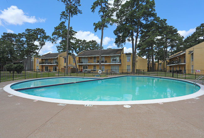 Casa Grande Apartments in Houston, TX - Building Photo - Building Photo