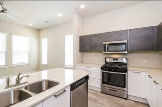 2432 Freshwater Ln in McKinney, TX - Building Photo - Building Photo