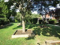 Spring Village Apartments photo'