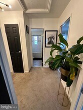 4334 Martin Luther King Jr Ave SW in Washington, DC - Building Photo - Building Photo