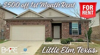 3109 Walker Creek Dr in Little Elm, TX - Building Photo