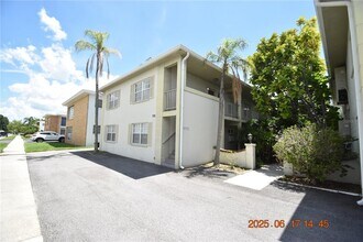 306 Danube Ave in Tampa, FL - Building Photo - Building Photo