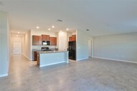 5005 White Chicory Dr in Ruskin, FL - Building Photo - Building Photo