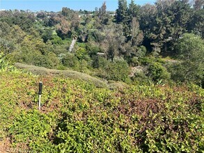 24822 Via San Fernando in Mission Viejo, CA - Building Photo - Building Photo