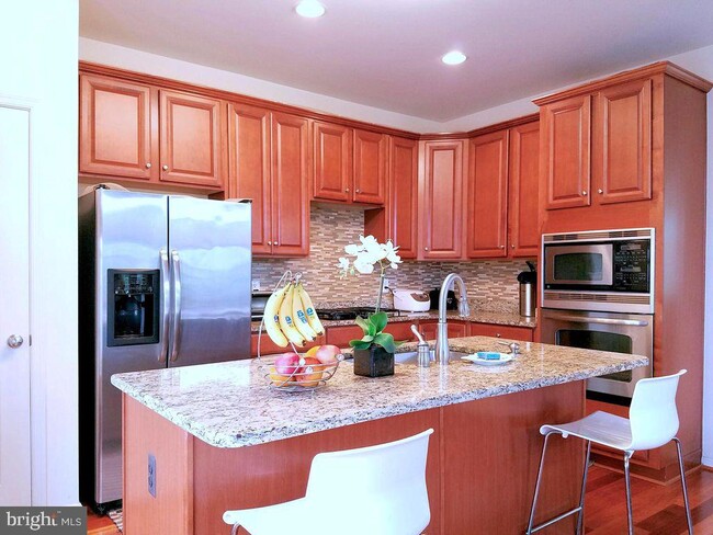 22654 Vienna Green Terrace in Brambleton, VA - Building Photo - Building Photo