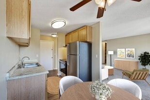 Northtown Village Apartments in Spring Lake Park, MN - Building Photo