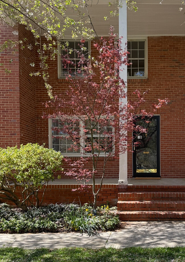 212 N Laurel Ave in Charlotte, NC - Building Photo - Building Photo