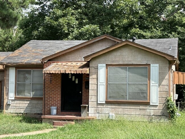 property at 603 Mitchell Ln
