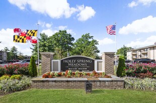 Holly Spring Meadows in Capitol Heights, MD - Building Photo