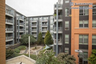731 Seaton Ave, Unit FL3-ID599 in Alexandria, VA - Building Photo - Building Photo