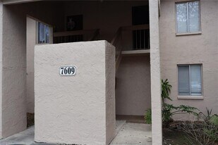 7609 Abbey Ln in Tampa, FL - Building Photo