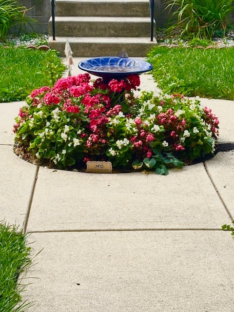 1618 S Washtenaw Ave, Unit Garden