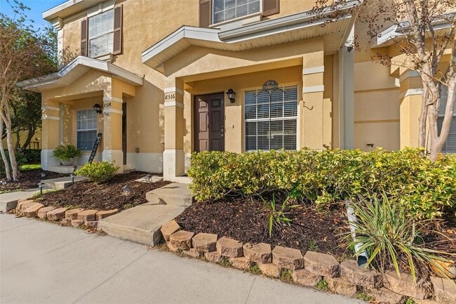 8516 Brushleaf Way in Tampa, FL - Building Photo - Building Photo