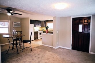 814 Elkan Dr in Tarpon Springs, FL - Building Photo - Building Photo