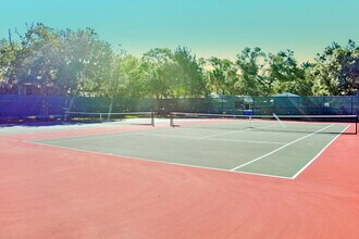 38 Tarragona Ct in St. Augustine, FL - Building Photo - Building Photo