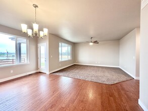 2260 Graceful St in Windsor, CO - Building Photo - Building Photo