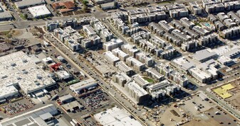 Theory Flats Apartments