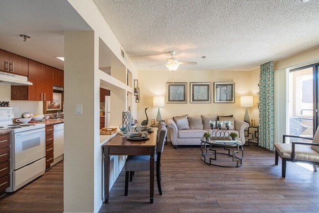 Palazzo Senior Apartments - 55+ Active Adult Apartments