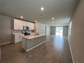 34823 Telluride Ln in Zephyrhills, FL - Building Photo - Building Photo