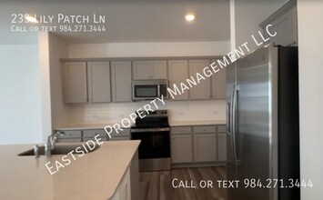 233 Lily Patch Ln in Smithfield, NC - Building Photo - Building Photo