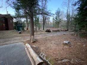 10317 Slide-A-Ways Trail in Grayling, MI - Building Photo - Building Photo
