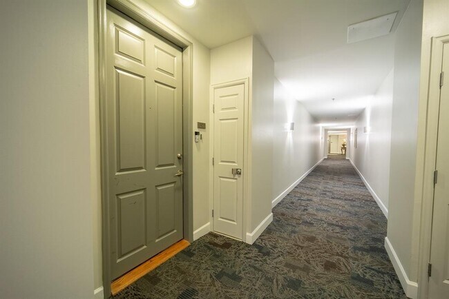 2520 Robinhood St in West University Place, TX - Building Photo - Building Photo