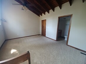 705 E College Ave in Tallahassee, FL - Foto de edificio - Building Photo