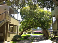 Evergreen Ridge Apartments in San Bruno, CA - Building Photo - Building Photo