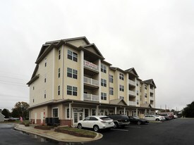 460 Main St in Stevensville, MD - Building Photo