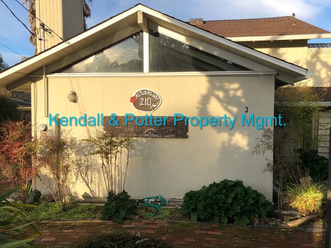 property at 210 Alturas Way