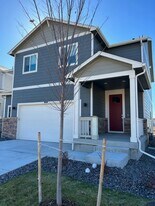 1909 Floating Leaf Dr in Fort Collins, CO - Building Photo