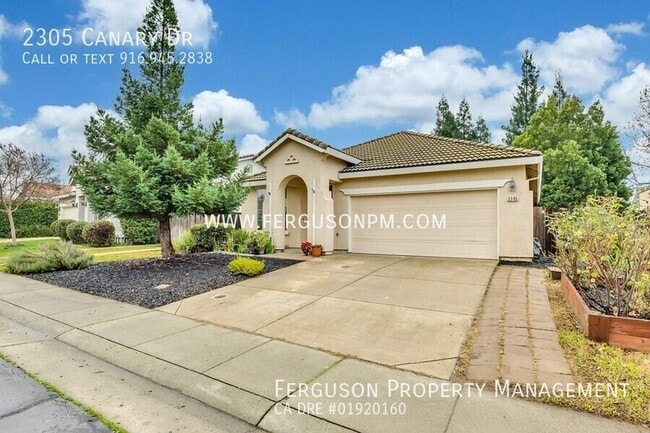 2305 Canary Dr in Rocklin, CA - Building Photo - Building Photo
