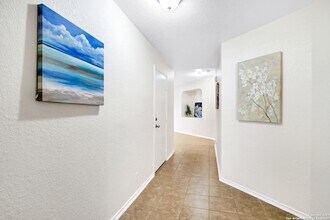 446 Eastern Phoebe in San Antonio, TX - Building Photo - Building Photo