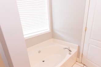 1030 Stone Shoals Ct in Watkinsville, GA - Building Photo - Building Photo