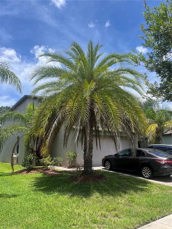 property at 20042 Date Palm Way