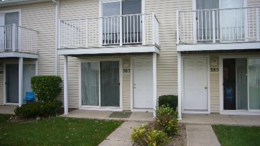 387 Meadow Green Ln in Round Lake Beach, IL - Building Photo