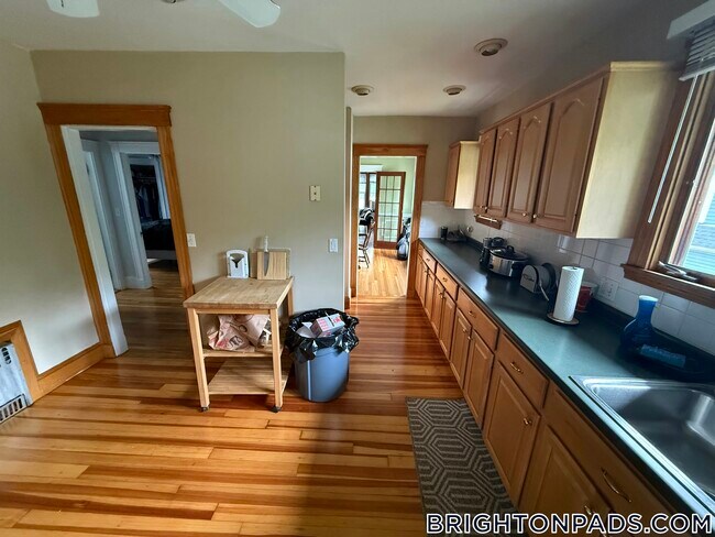 232 Lake St in Boston, MA - Building Photo - Building Photo