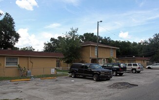 1524 E 139th Ave in Tampa, FL - Building Photo